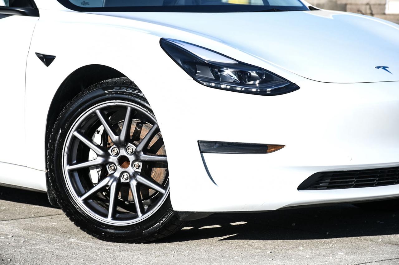 2022 Tesla Model 3 Base Photo