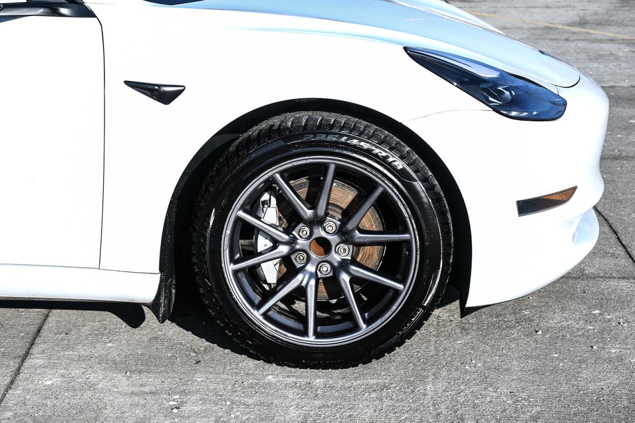 2022 Tesla Model 3 Base Photo