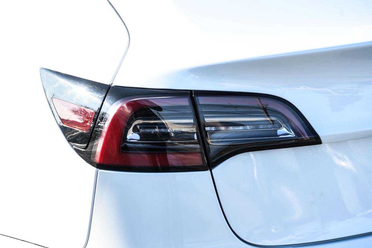 2022 Tesla Model 3 Base Photo