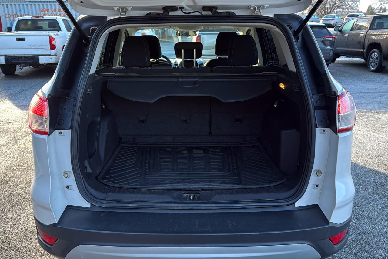 2013 Ford Escape SE Photo