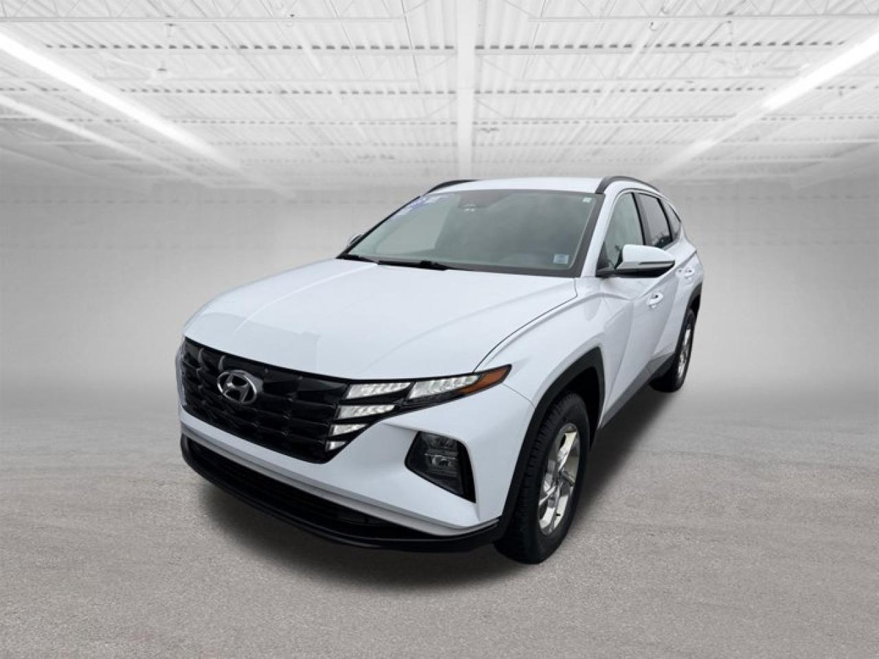 Steele Hyundai MVI and Ride. All MVI and Ride vehicles have been inspected and brought up to provincial motor vehicle inspection standards.We also change the oil as part of our process to get this vehicle ready for you.Warranty: There is a 30-day 50/50 split warranty on parts and labor on any motor vehicle inspection items.Please note items such as air conditioning & engine lights are not MVI related items.TRADE INS ARE WELCOME.PERFORMED NEW MVIREPLACED OIL AND FILTERREPLACED FRONT BRAKE PADSREPLACED FRONT BRAKE ROTORSREPLACED REAR BRAKE PADSREPLACED REAR BRAKE ROTORSREPLACED AIR FILTERREPLACED CABIN AIR FILTERREPLACED WIPER BLADES2023 Hyundai Tucson Preferred Comfort, Style & Smart TechnologyThe 2023 Hyundai Tucson Preferred delivers modern design, advanced safety, and everyday comfort in a versatile SUV thats perfect for city driving or weekend getaways.Key Features:2.5L 4-Cylinder Engine with Smooth Automatic TransmissionAll-Wheel Drive for Confidence in All ConditionsHeated Front Seats & Heated Steering WheelBlind-Spot Collision-Avoidance AssistLane Keep Assist & Forward Collision-Avoidance AssistAdaptive Cruise Control with Stop & GoTouchscreen Display with Apple CarPlay & Android AutoBackup Camera & Rear Cross-Traffic AlertSpacious Interior with Fold-Flat Rear SeatsStylish, fuel-efficient, and packed with Hyundai SmartSense safety features, the Tucson Preferred offers excellent value and peace of mind for any driver.Available now at Steele Hyundai Contact us today to book your test drive!