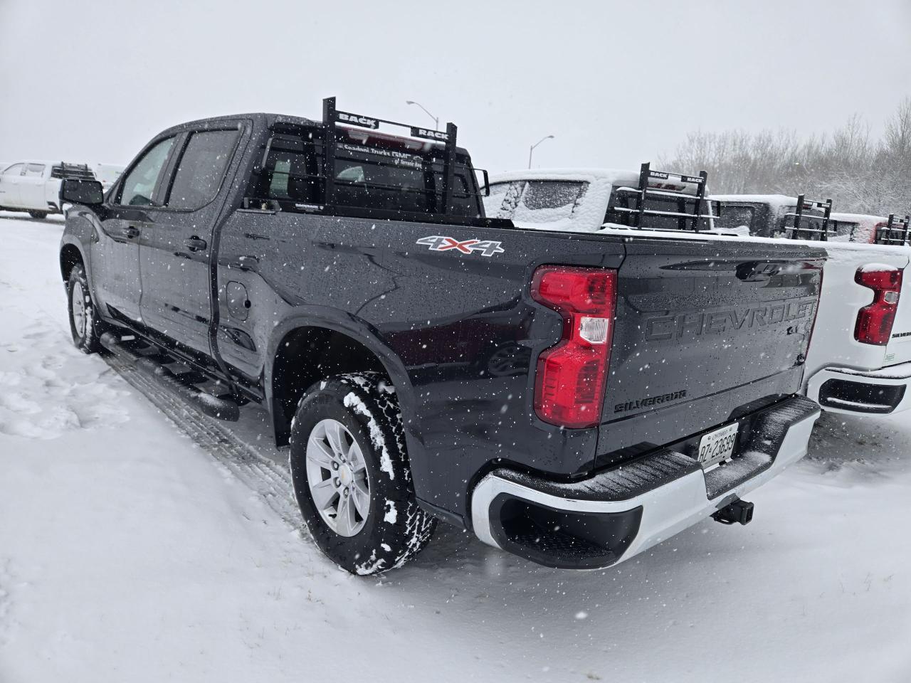 2024 Chevrolet Silverado 1500 LT Photo