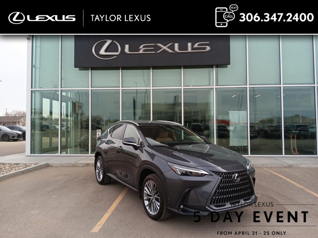 Lexus NX 350 Base