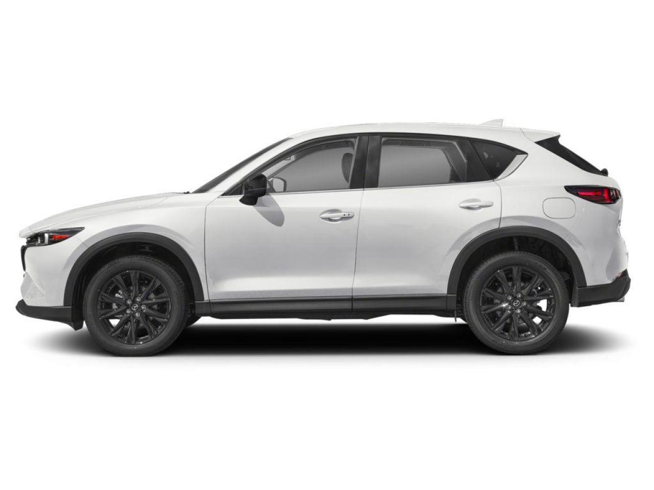 2025 Mazda CX-5 KURO Photo