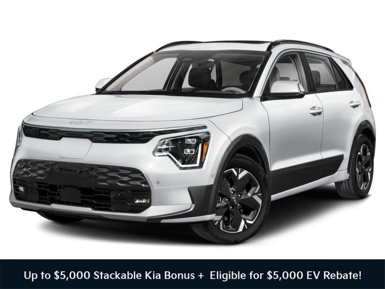 2026 Kia NIRO EV WAVE Photo