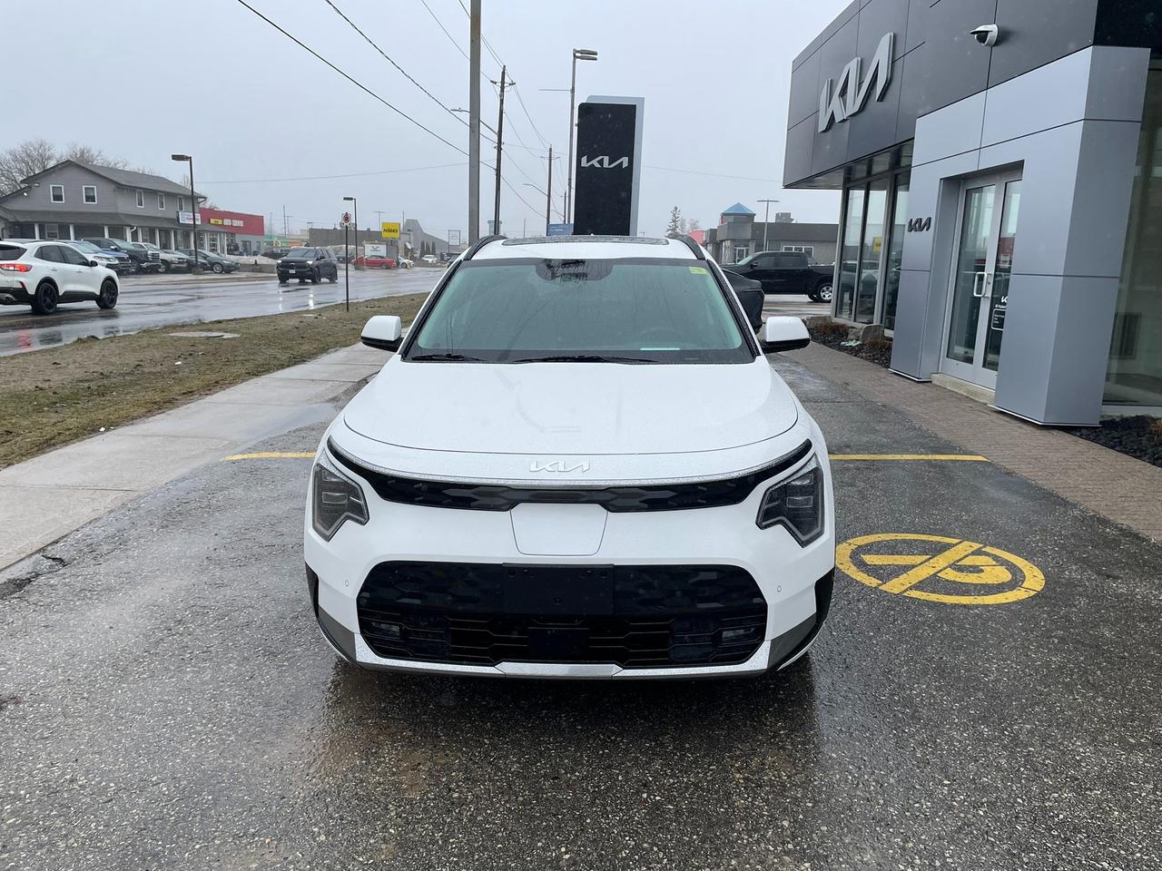 2026 Kia NIRO EV WAVE Photo