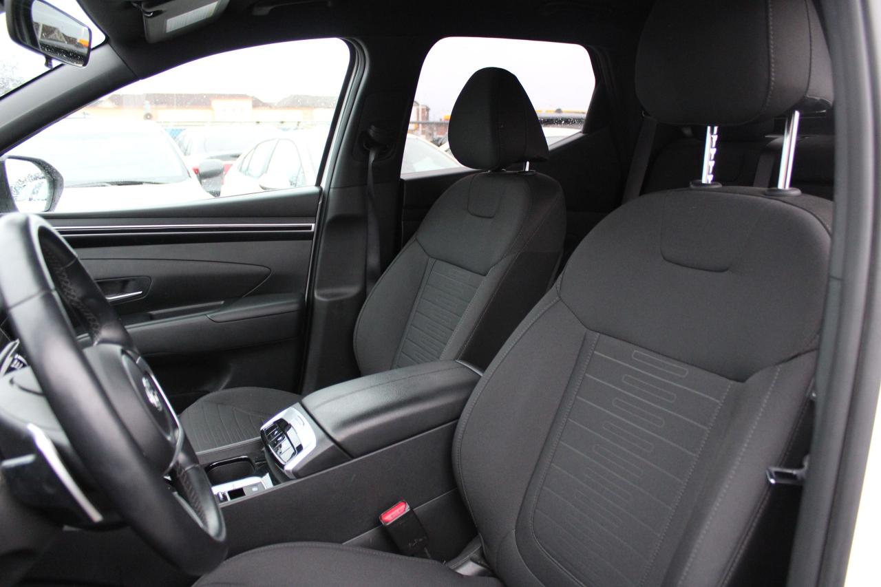 2024 Hyundai Santa Cruz Preferred Photo