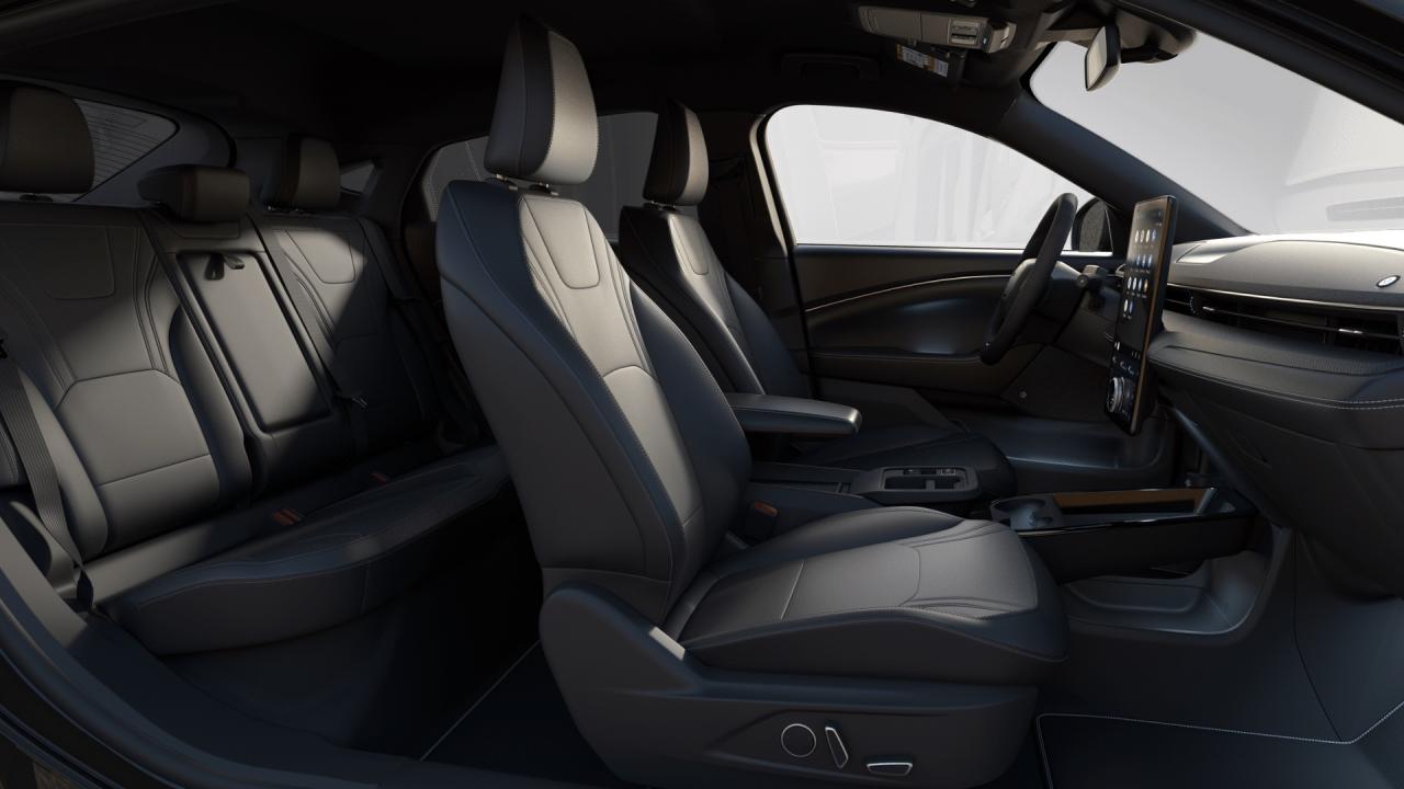 2025 Ford Mustang Mach-E Premium 300A Photo