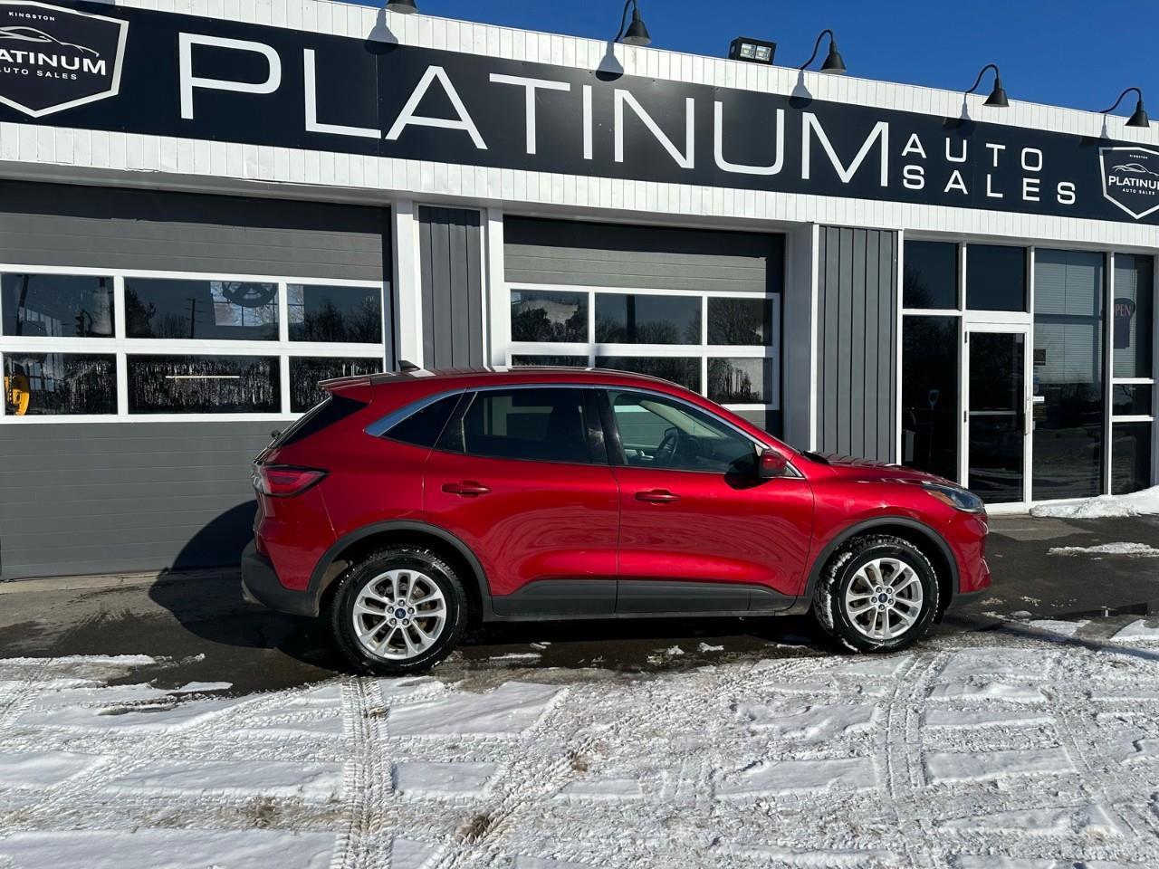 2020 Ford Escape SE Photo