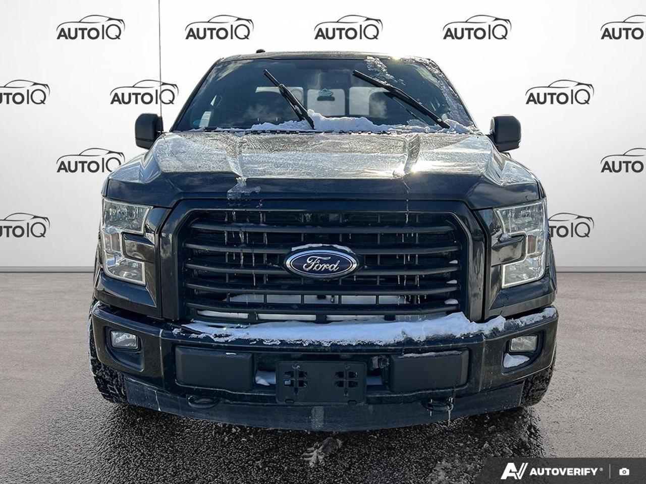 2017 Ford F-150 XLT 302A|NO ACCIDENTS|SPORT|FX4|TOW|NAV|HEATED SEATS Photo