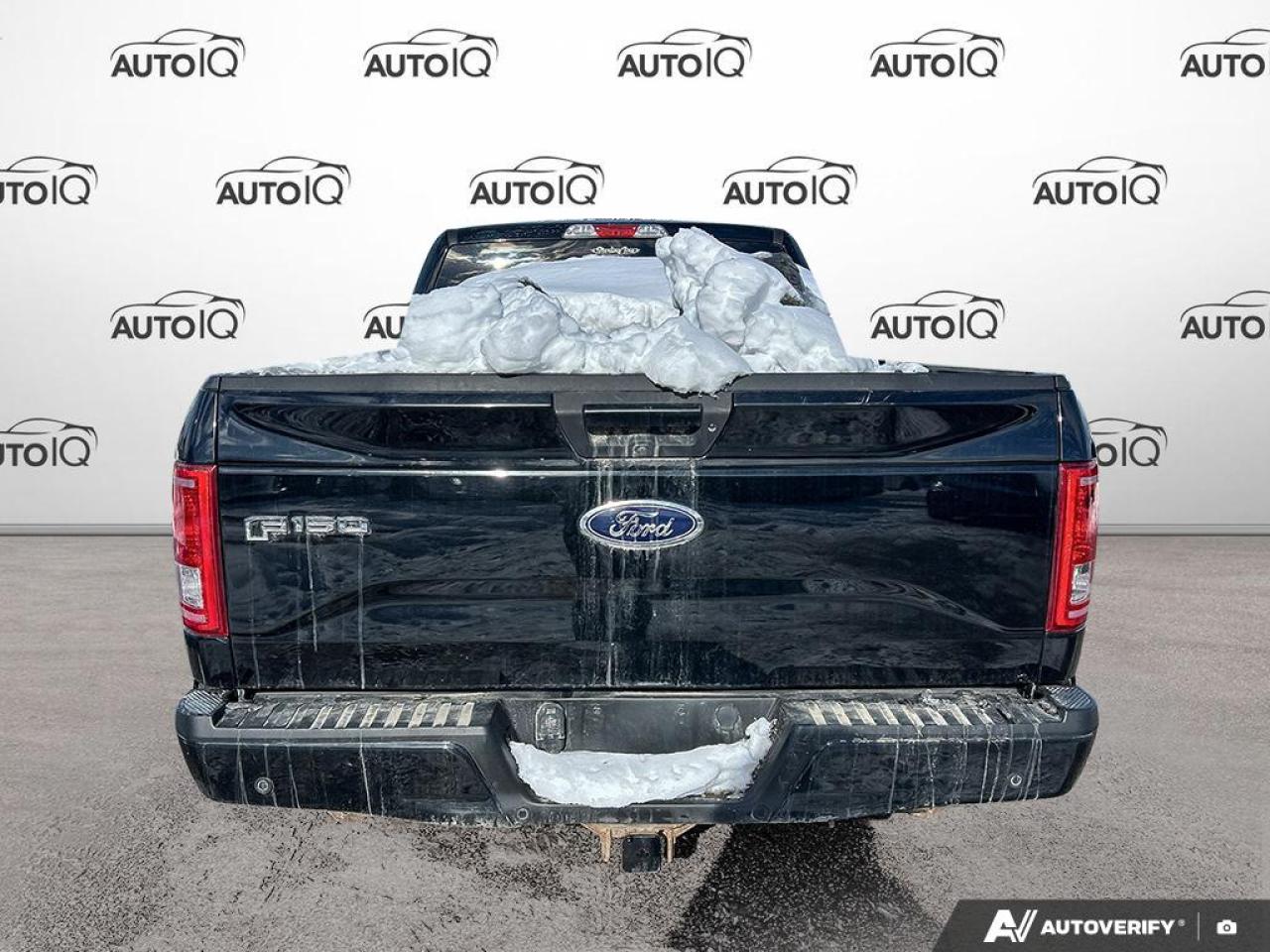 2017 Ford F-150 XLT 302A|NO ACCIDENTS|SPORT|FX4|TOW|NAV|HEATED SEATS Photo