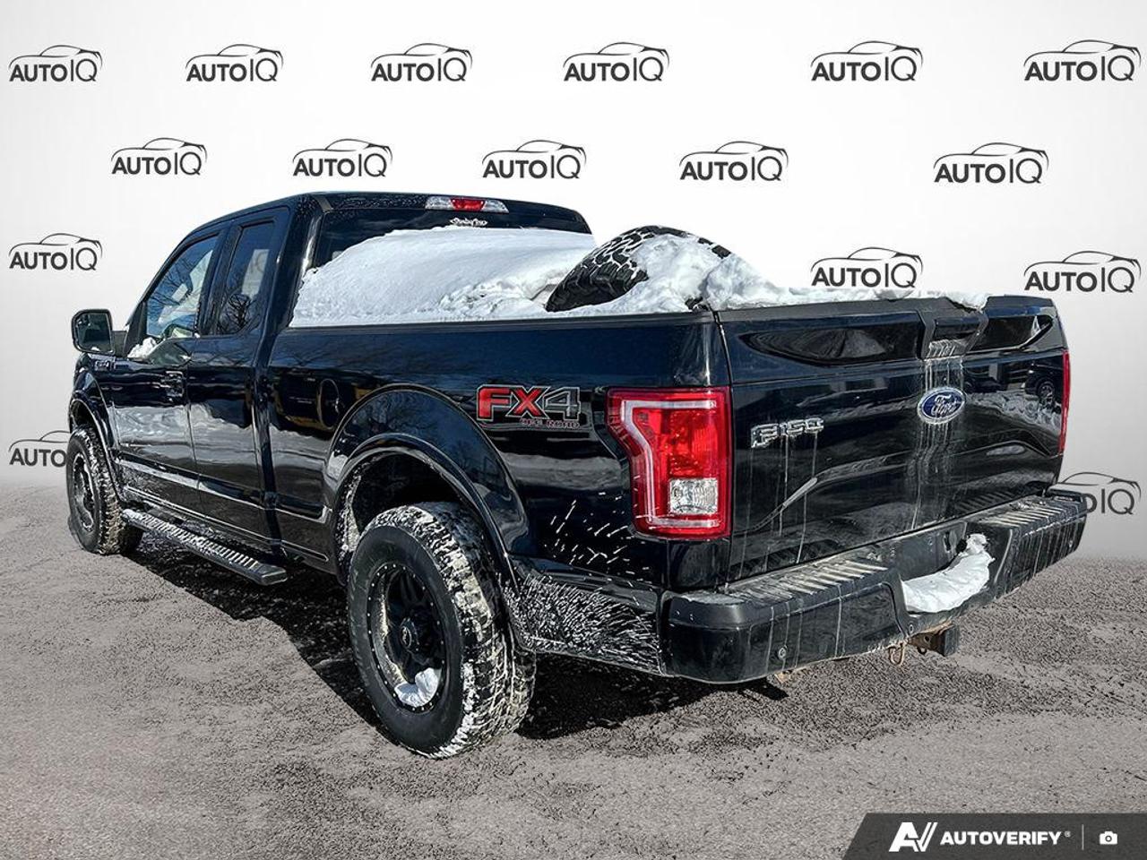 2017 Ford F-150 XLT 302A|NO ACCIDENTS|SPORT|FX4|TOW|NAV|HEATED SEATS Photo