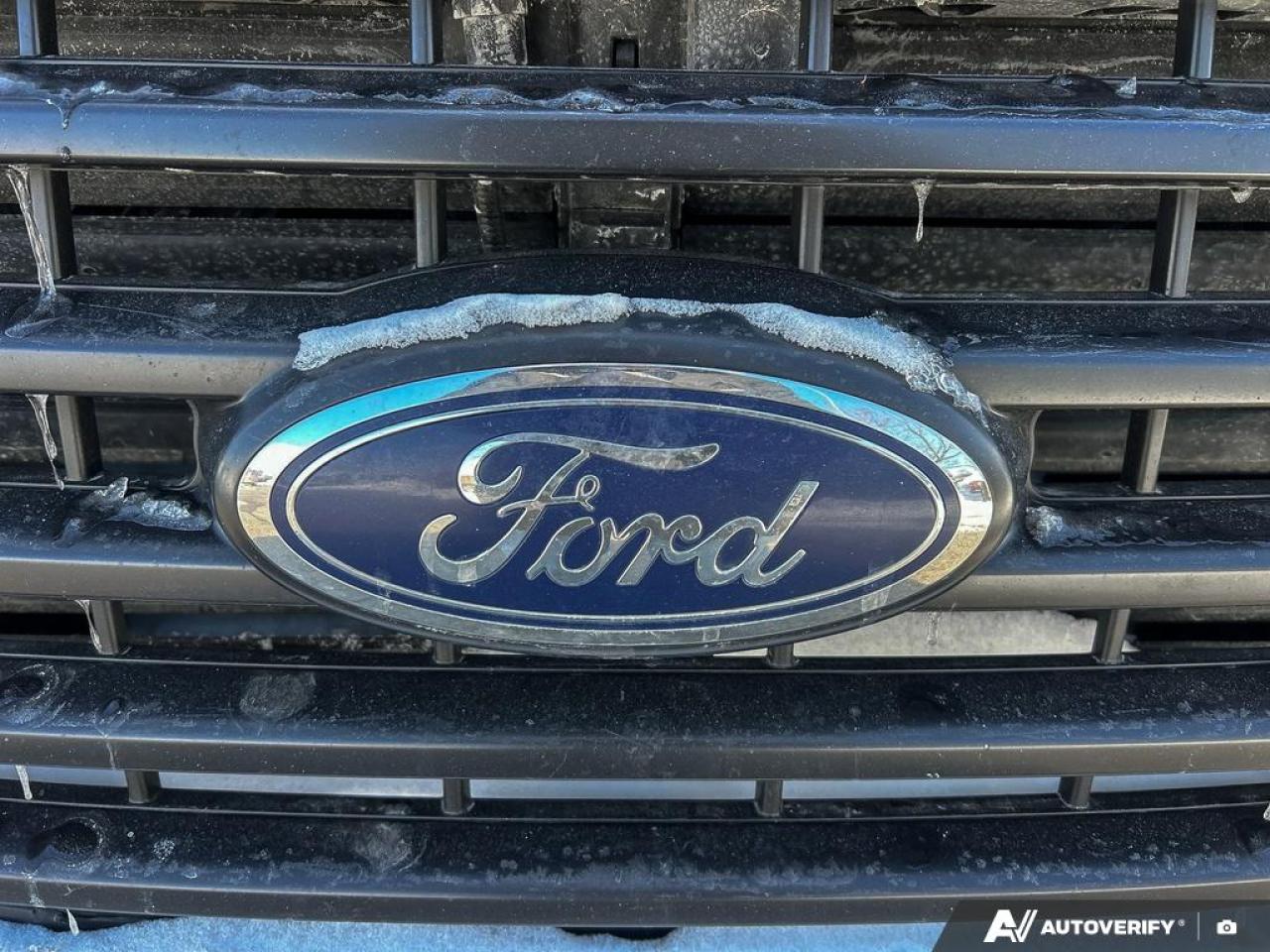 2017 Ford F-150 XLT 302A|NO ACCIDENTS|SPORT|FX4|TOW|NAV|HEATED SEATS Photo