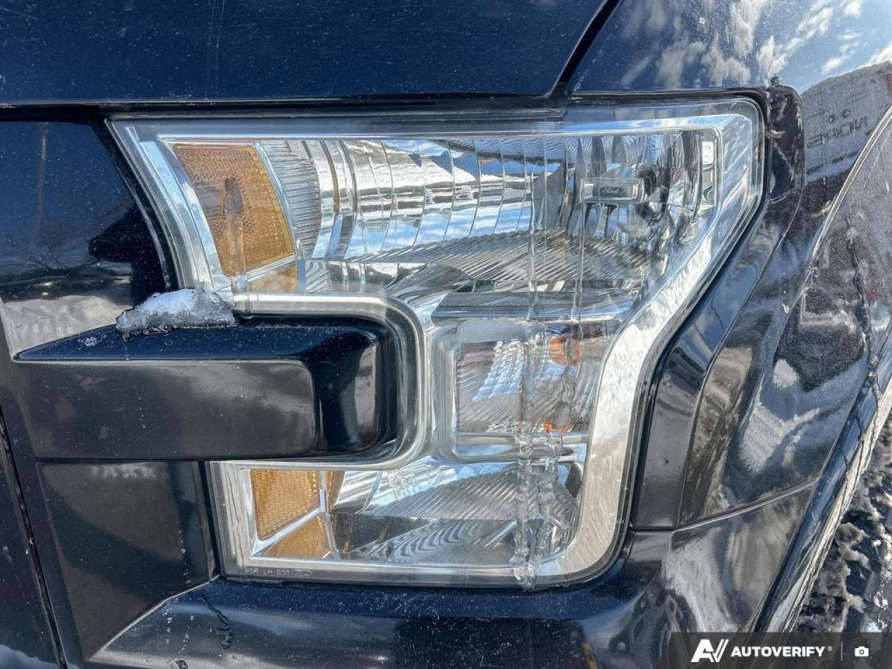 2017 Ford F-150 XLT 302A|NO ACCIDENTS|SPORT|FX4|TOW|NAV|HEATED SEATS Photo