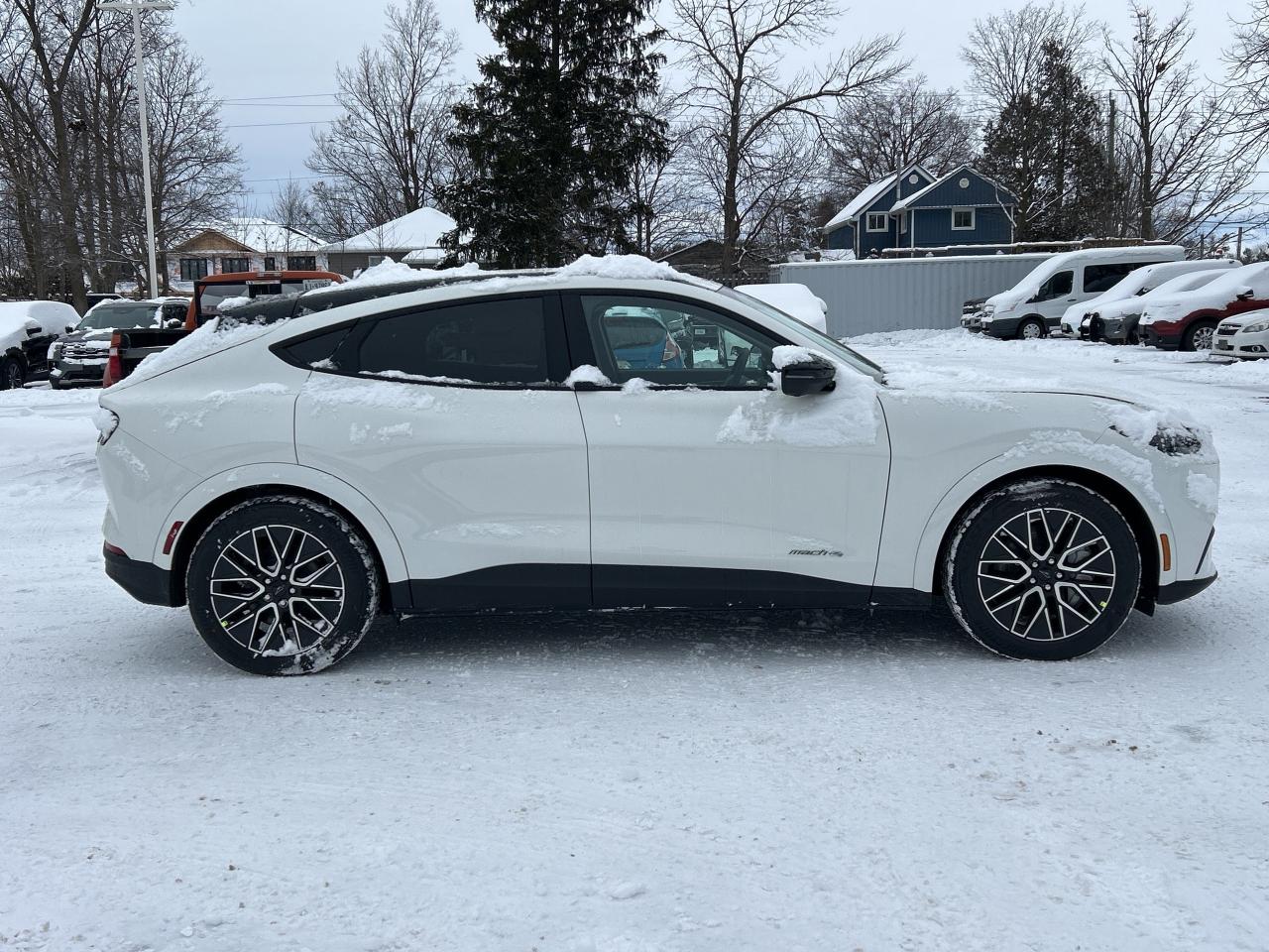 2025 Ford Mustang Mach-E PREMIUM AWD 300A Photo3