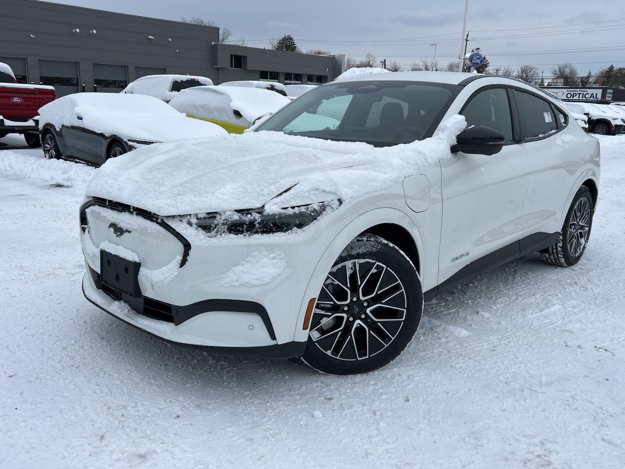 2025 Ford Mustang Mach-E PREMIUM AWD 300A Photo0