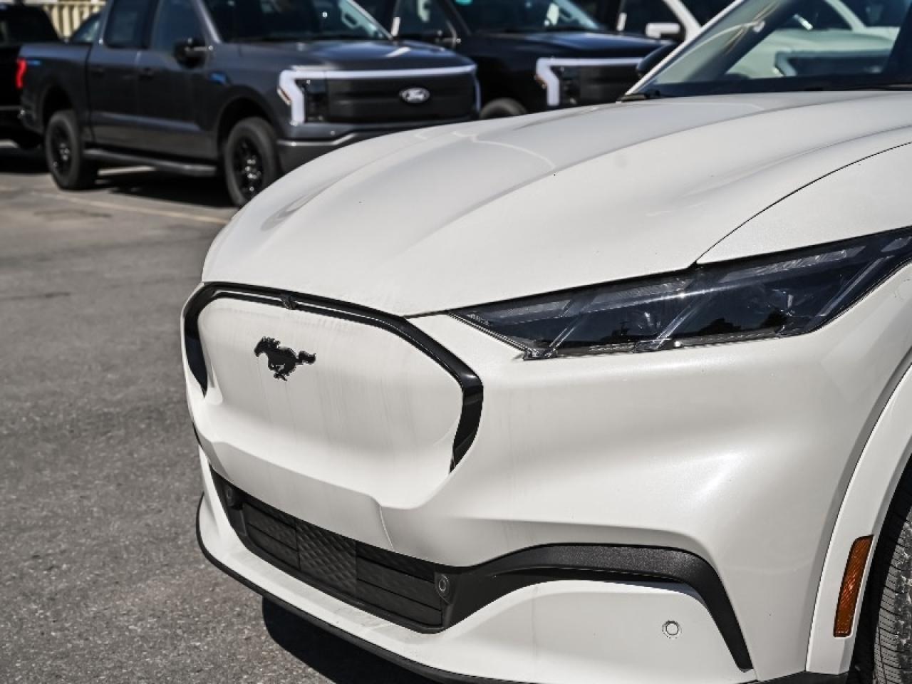 2025 Ford Mustang Mach-E Premium Photo