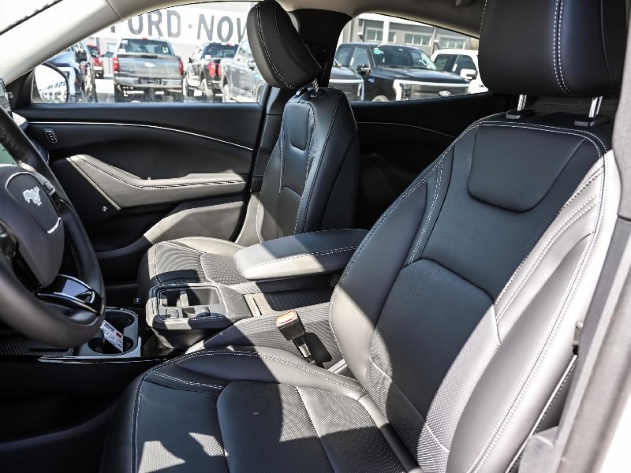 2025 Ford Mustang Mach-E Premium Photo