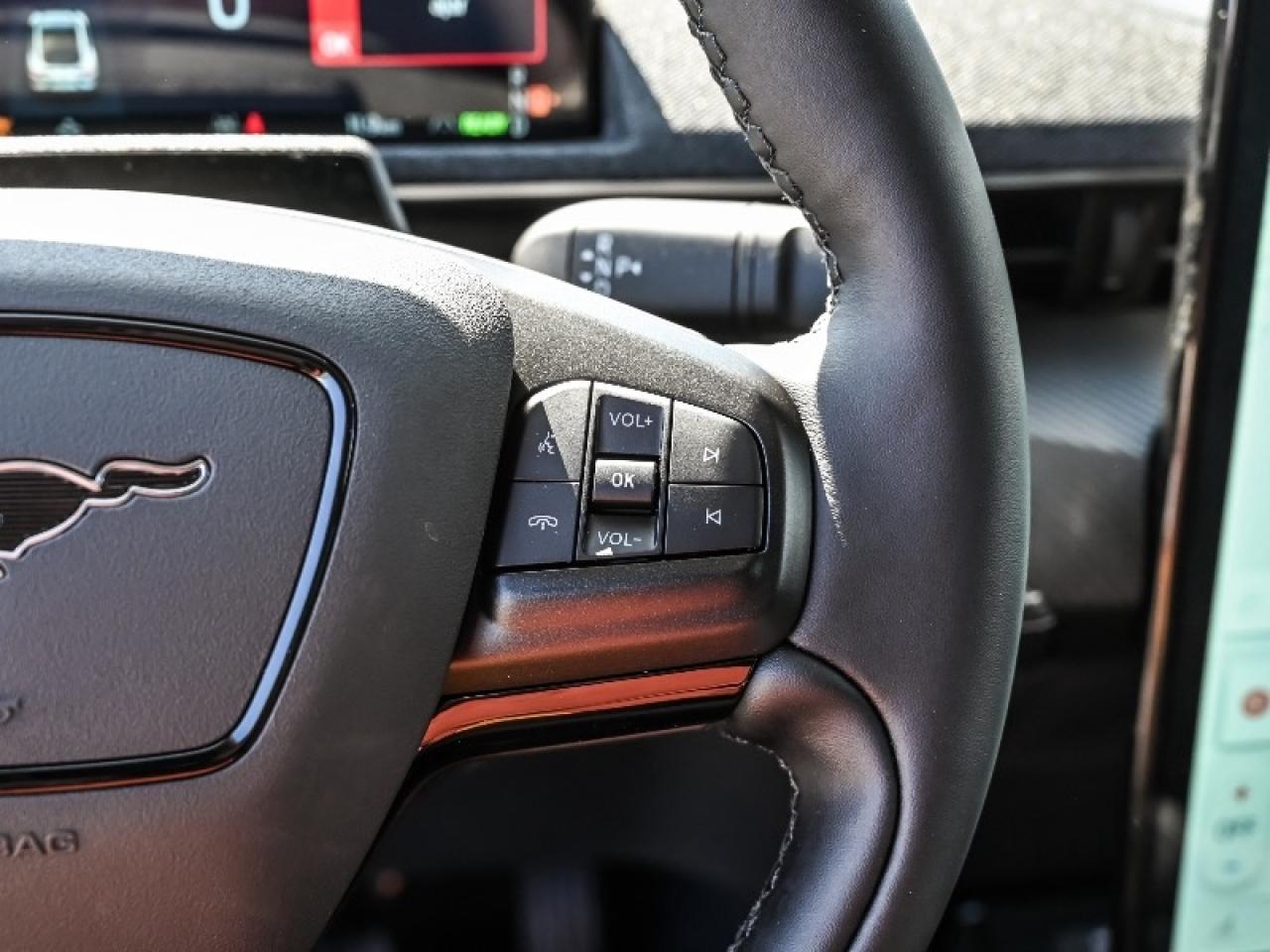 2025 Ford Mustang Mach-E Premium Photo