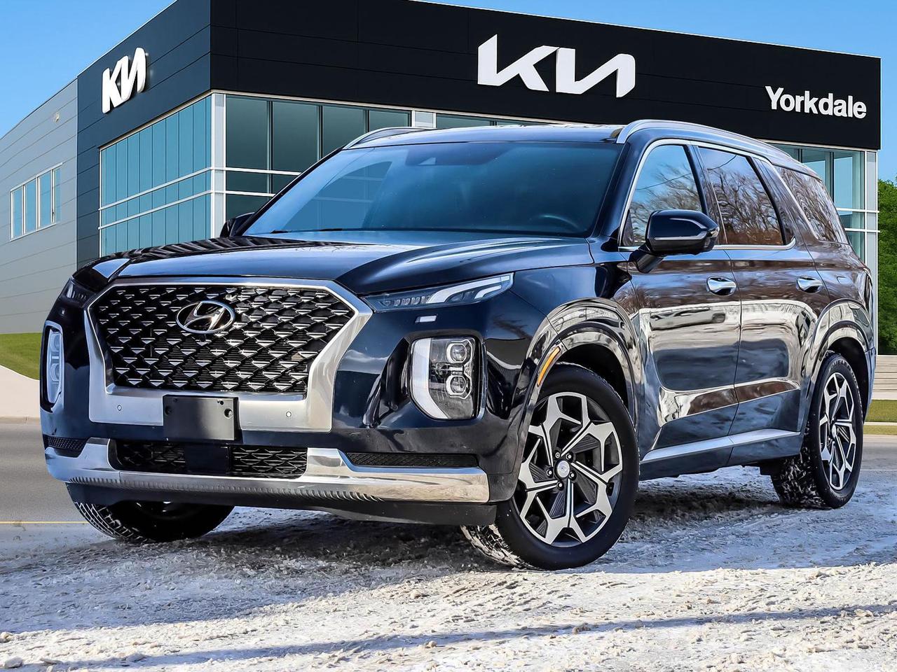 2022 Hyundai PALISADE Ultimate Calligraphy Photo