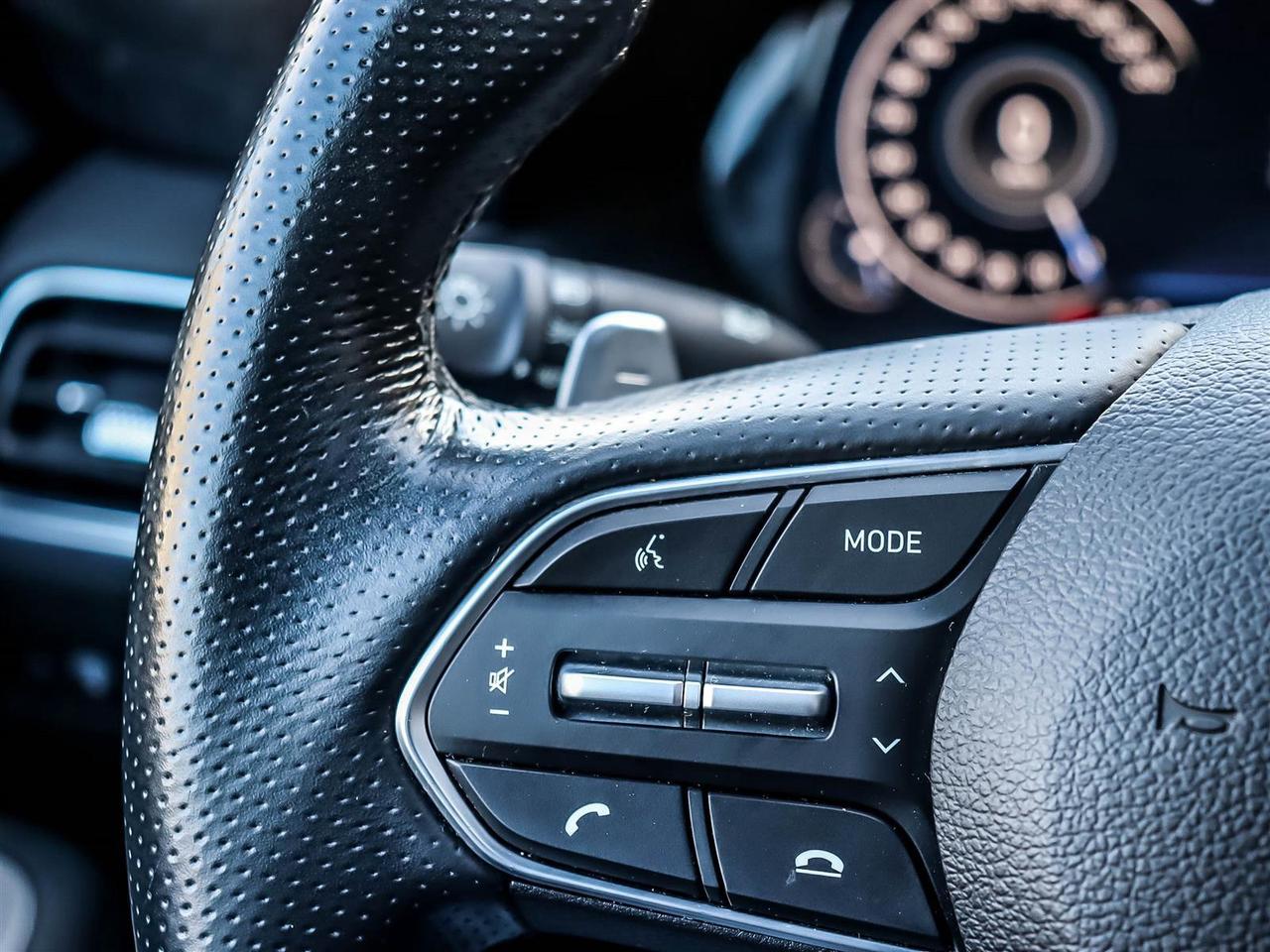 2022 Hyundai PALISADE Ultimate Calligraphy Photo