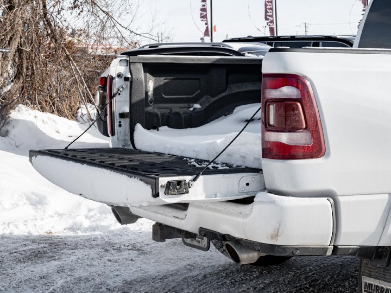 2021 RAM 1500 Limited Longhorn Photo