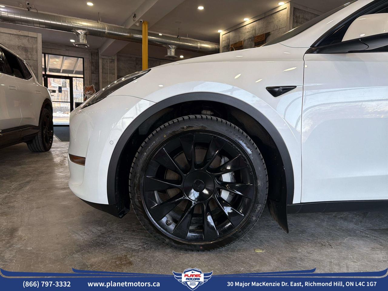 2022 Tesla Model Y LONG RANGE Photo