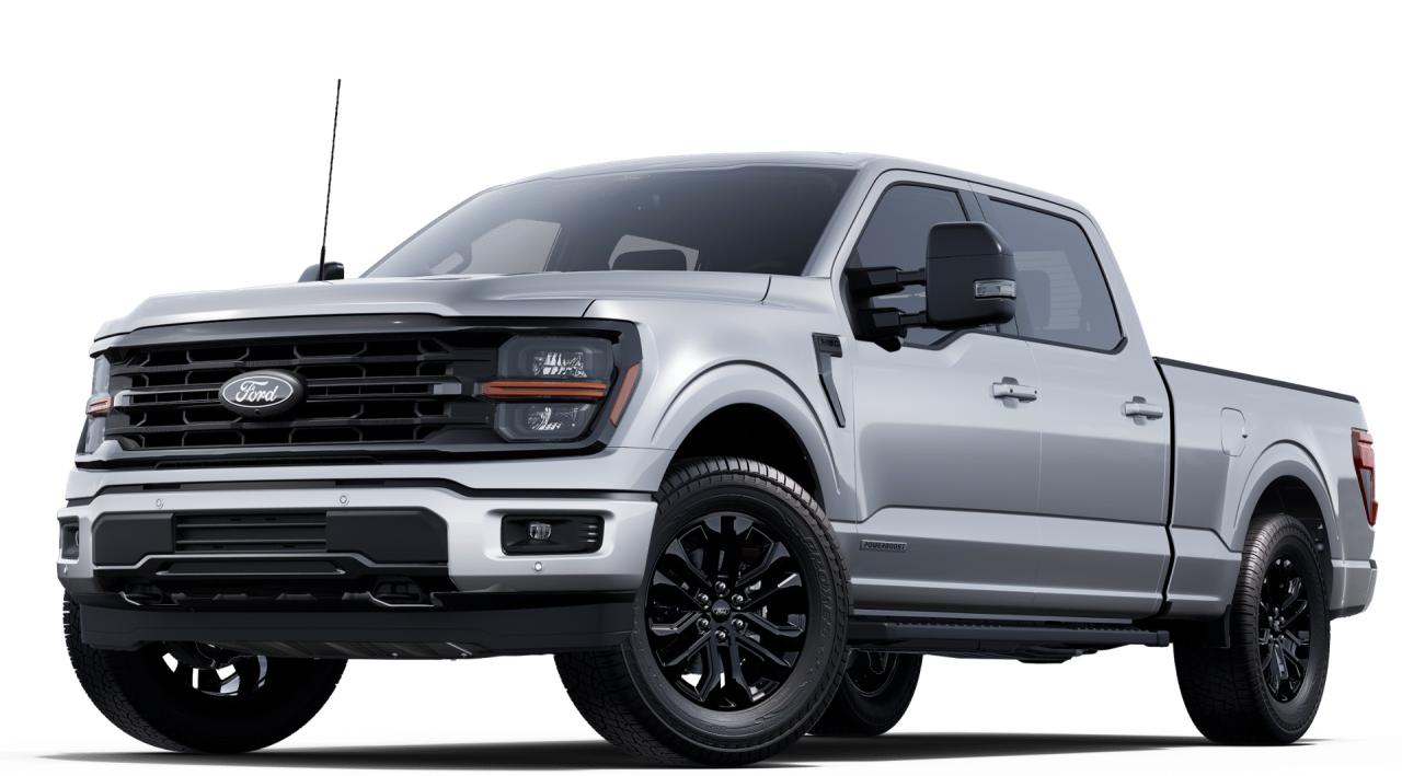 2025 Ford F-150 XLT 4WD SuperCrew 6.5' Box Photo0
