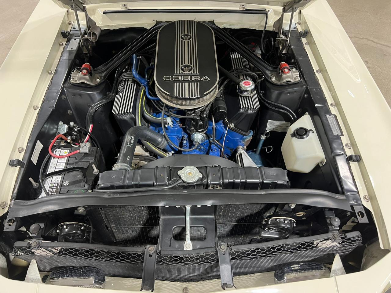 1968 Ford Mustang Shelby GT500 | 428 CI V8 | Holley 4 Barrel Carburetor | Photo