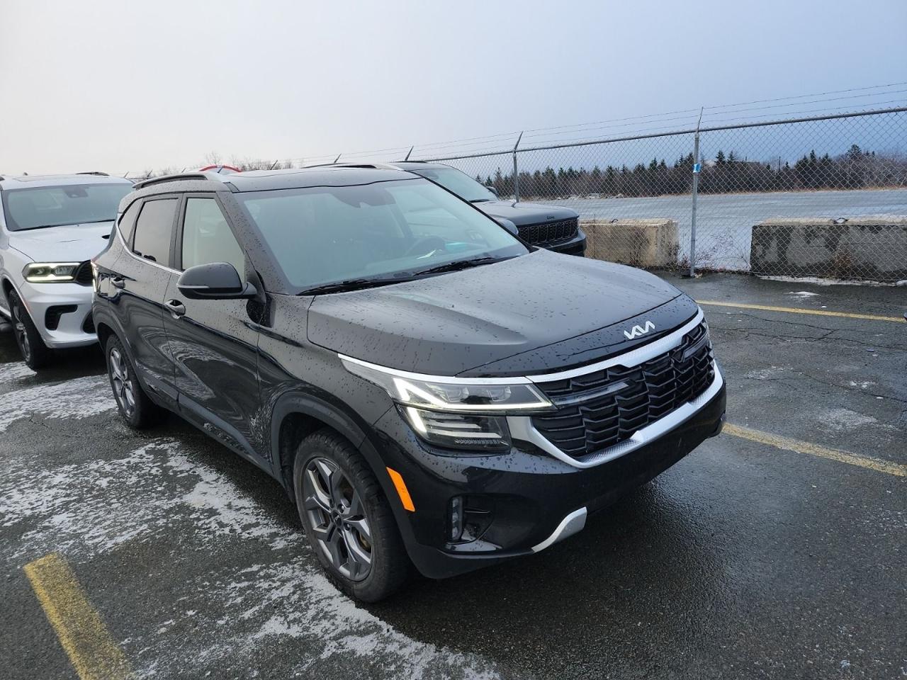 2024 Kia Seltos EX Photo