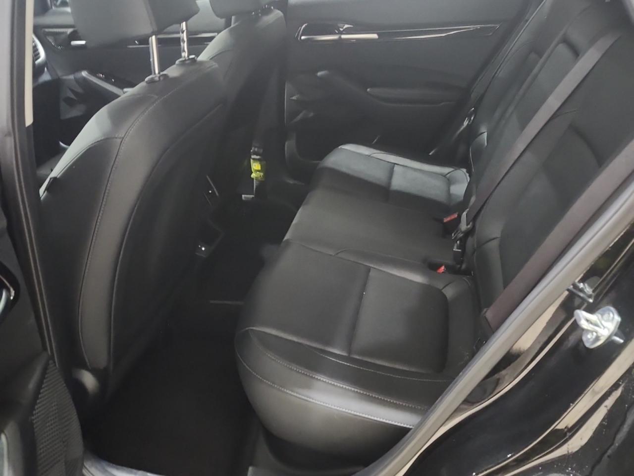 2024 Kia Seltos EX Photo