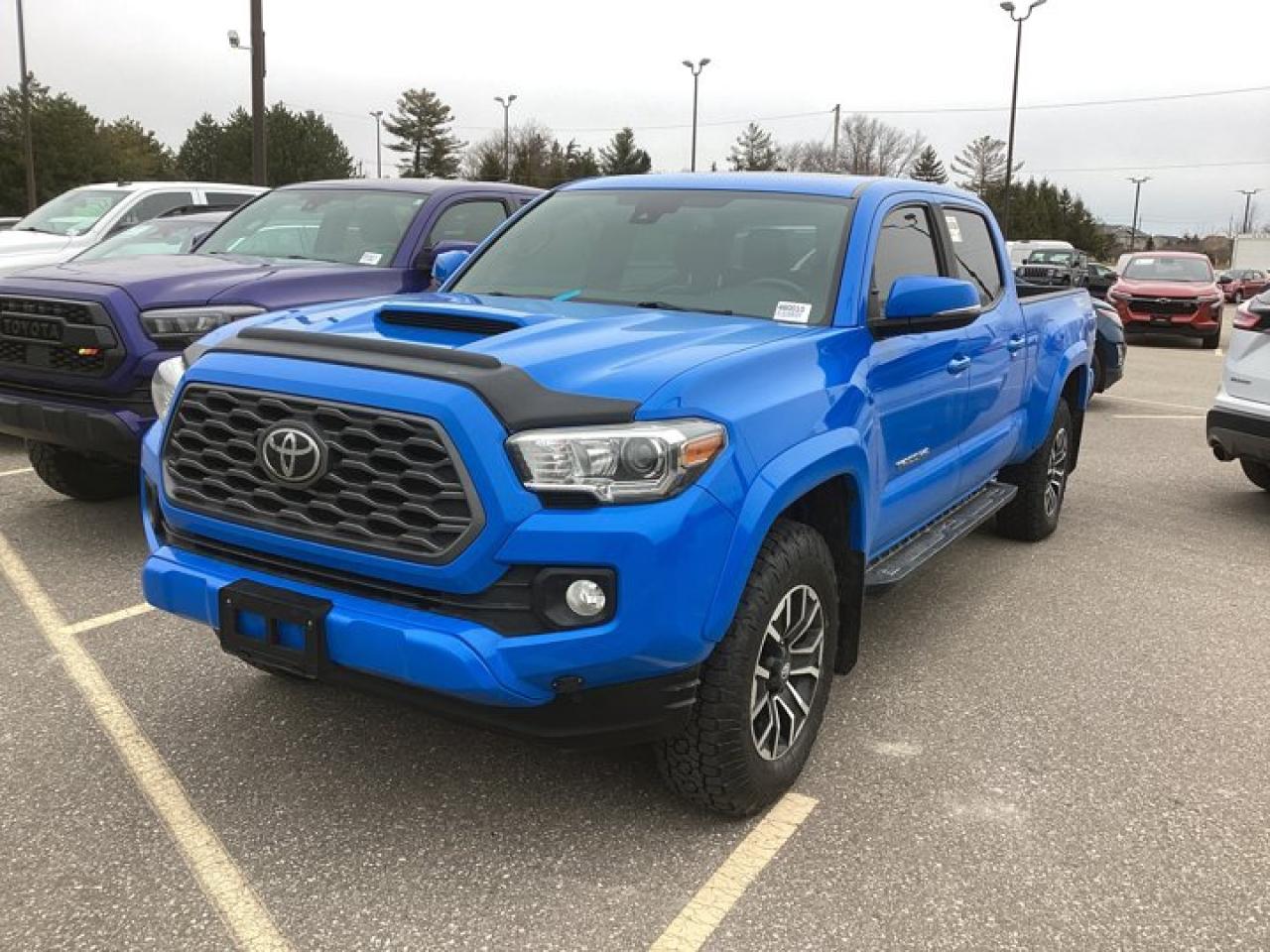 2021 Toyota Tacoma  Photo
