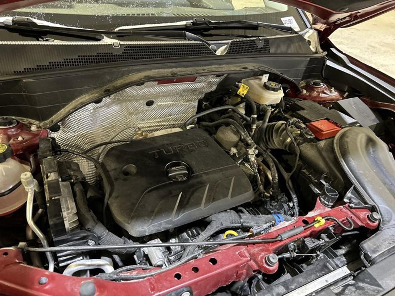 2025 Chevrolet TrailBlazer LT AWD | One owner | No accidents Photo