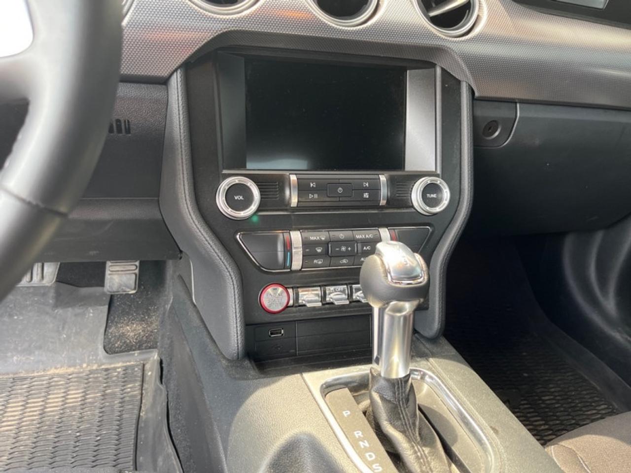 2021 Ford Mustang GT Photo