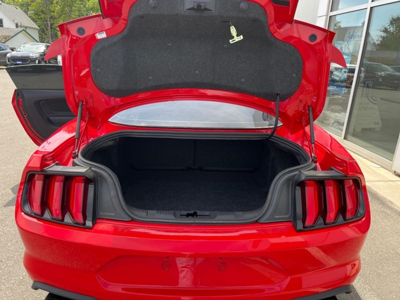 2021 Ford Mustang GT Photo