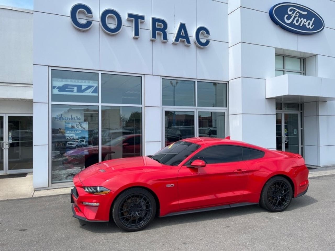 2021 Ford Mustang GT Photo