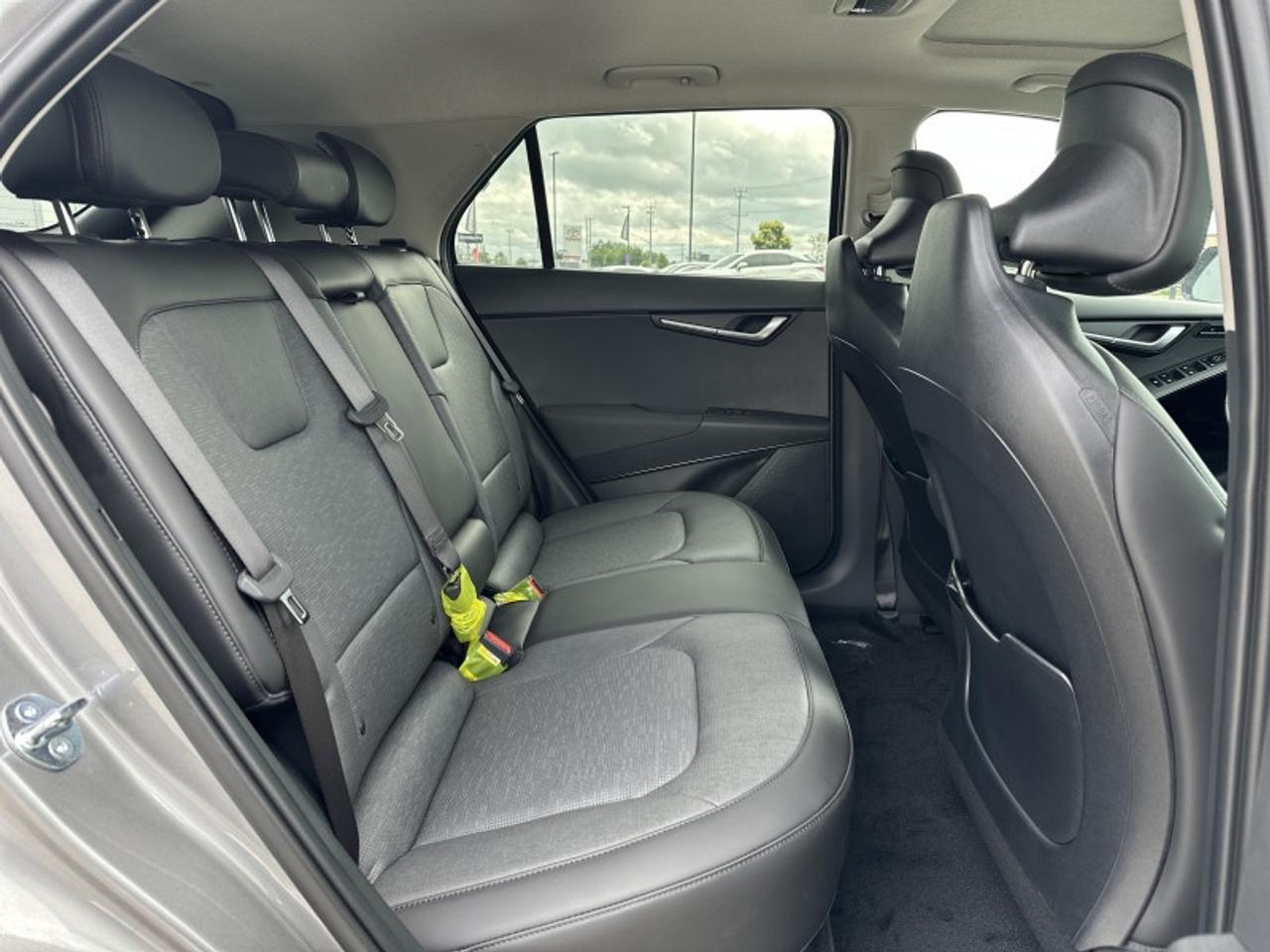 2025 Kia Niro EV Wave Photo