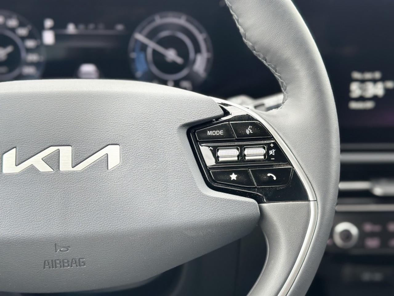 2025 Kia Niro EV Wave Photo