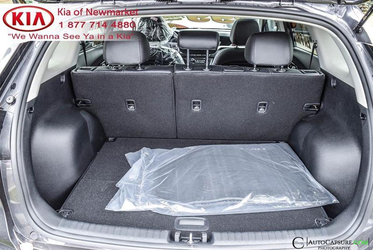 2020 Kia NIRO EX Premium 4dr Front-Wheel Drive Sport Utility Photo