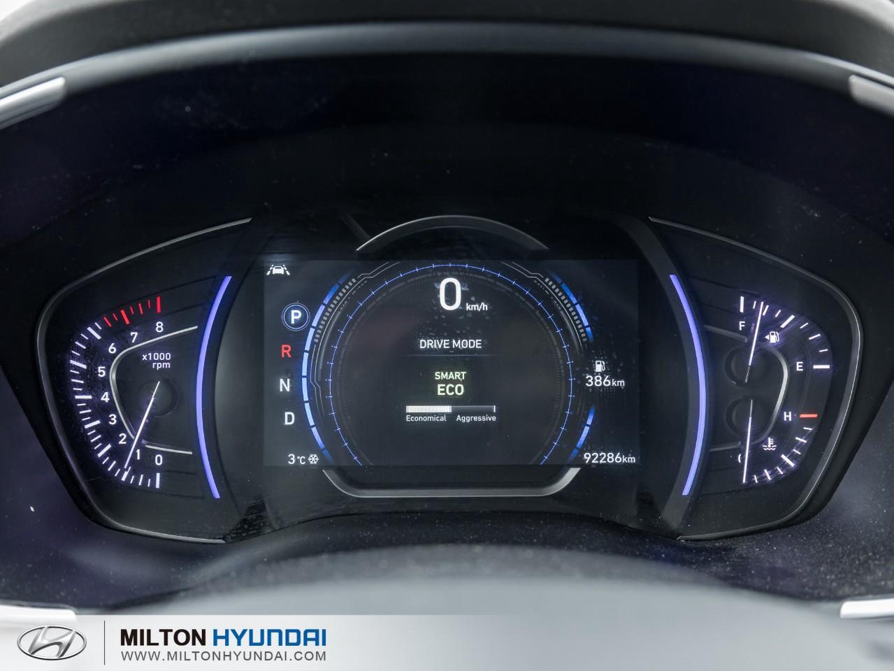 2019 Hyundai Santa Fe Luxury 2.0 (A8) 4dr All-Wheel Drive Photo