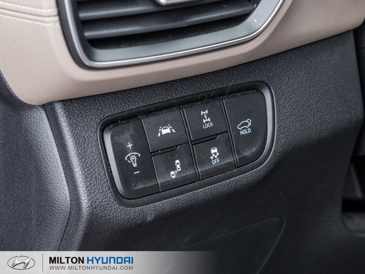 2019 Hyundai Santa Fe Luxury 2.0 (A8) 4dr All-Wheel Drive Photo