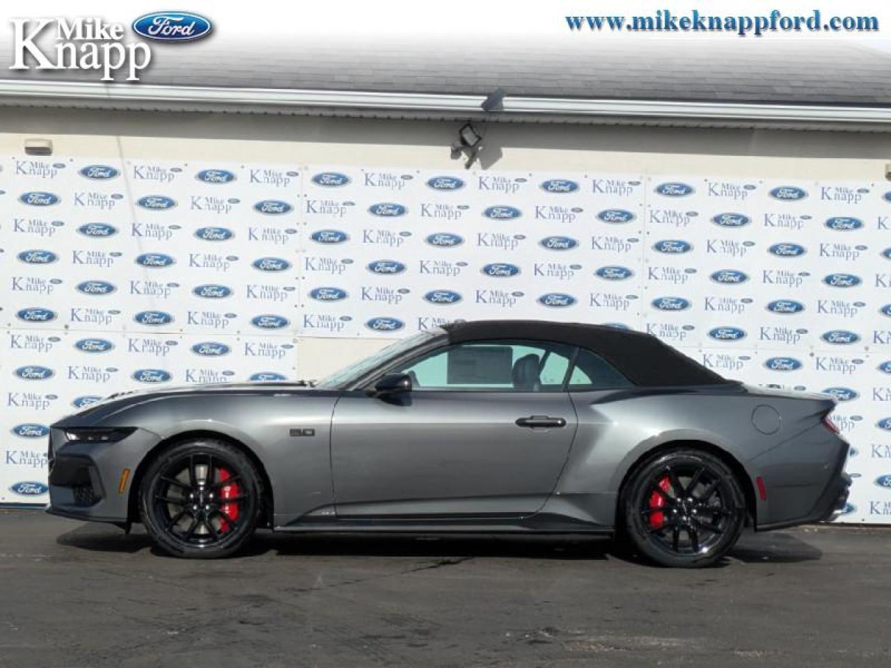 2025 Ford Mustang GT Premium Photo