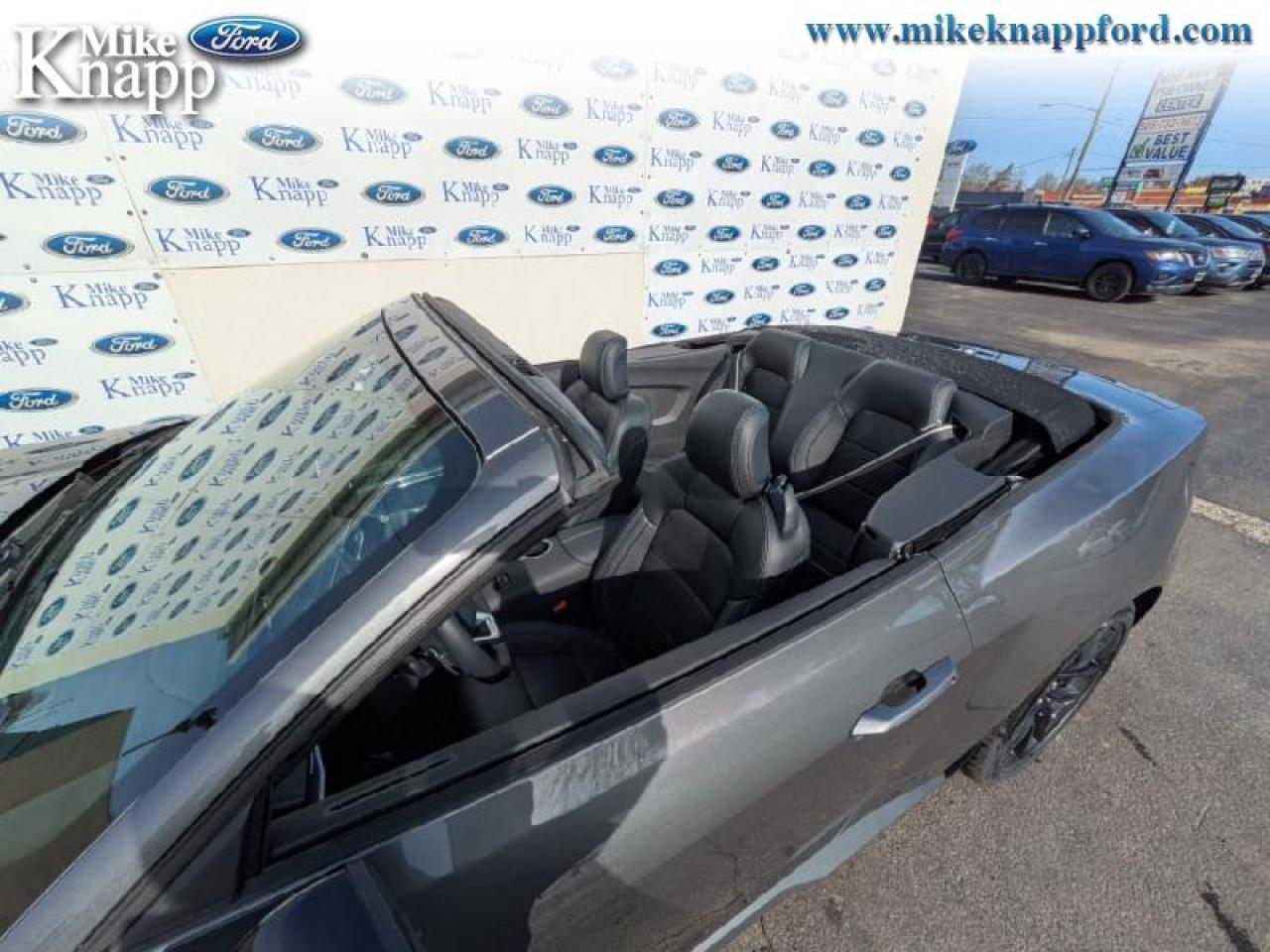 2025 Ford Mustang GT Premium Photo