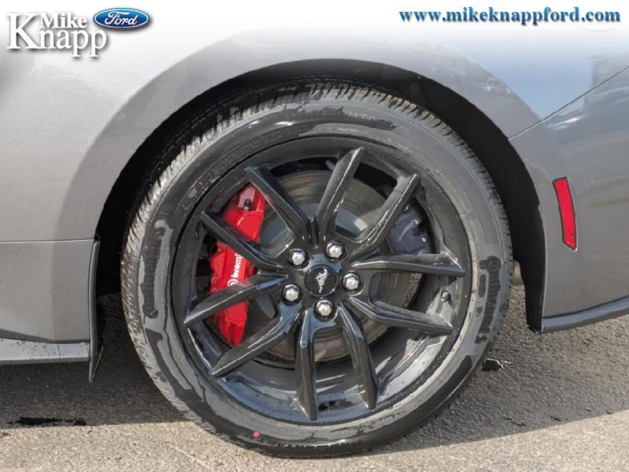 2025 Ford Mustang GT Premium Photo