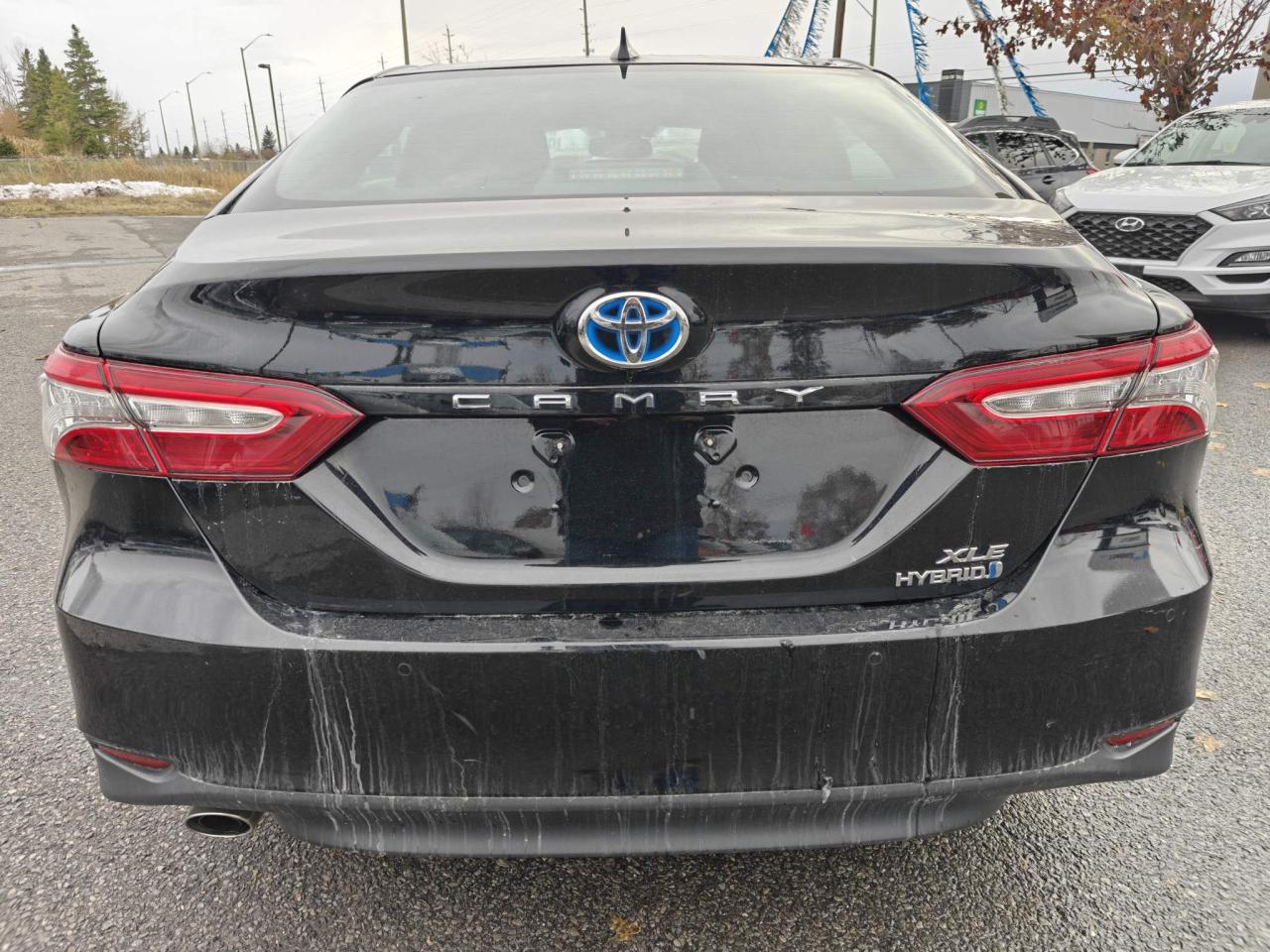 2020 Toyota Camry Hybrid XLE 4dr Sedan Photo