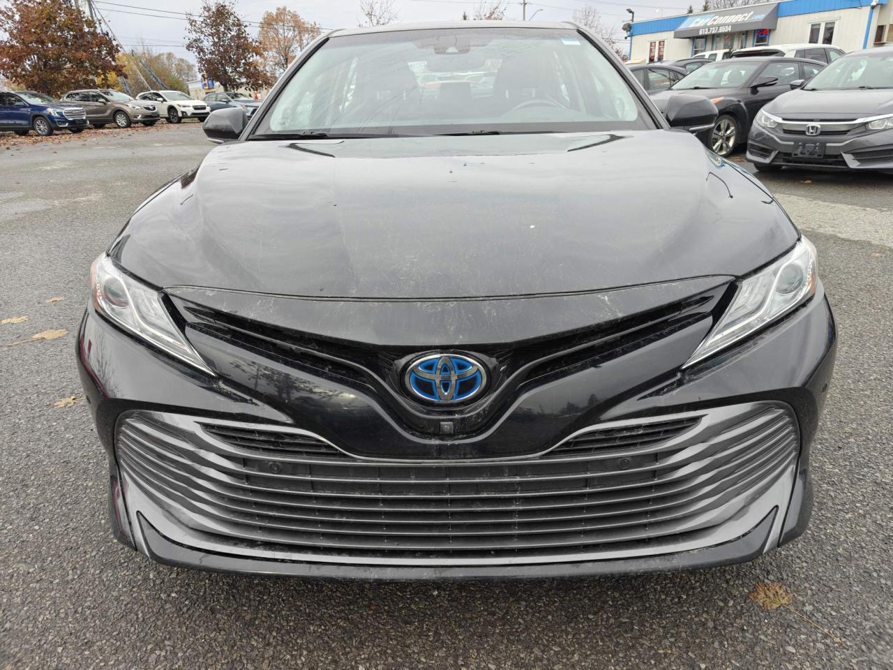 2020 Toyota Camry Hybrid XLE 4dr Sedan Photo