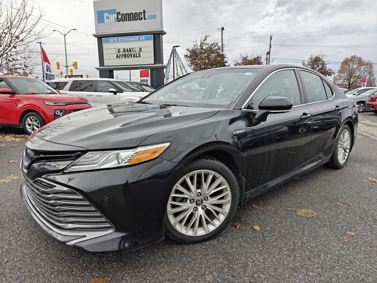 2020 Toyota Camry Hybrid XLE 4dr Sedan Photo