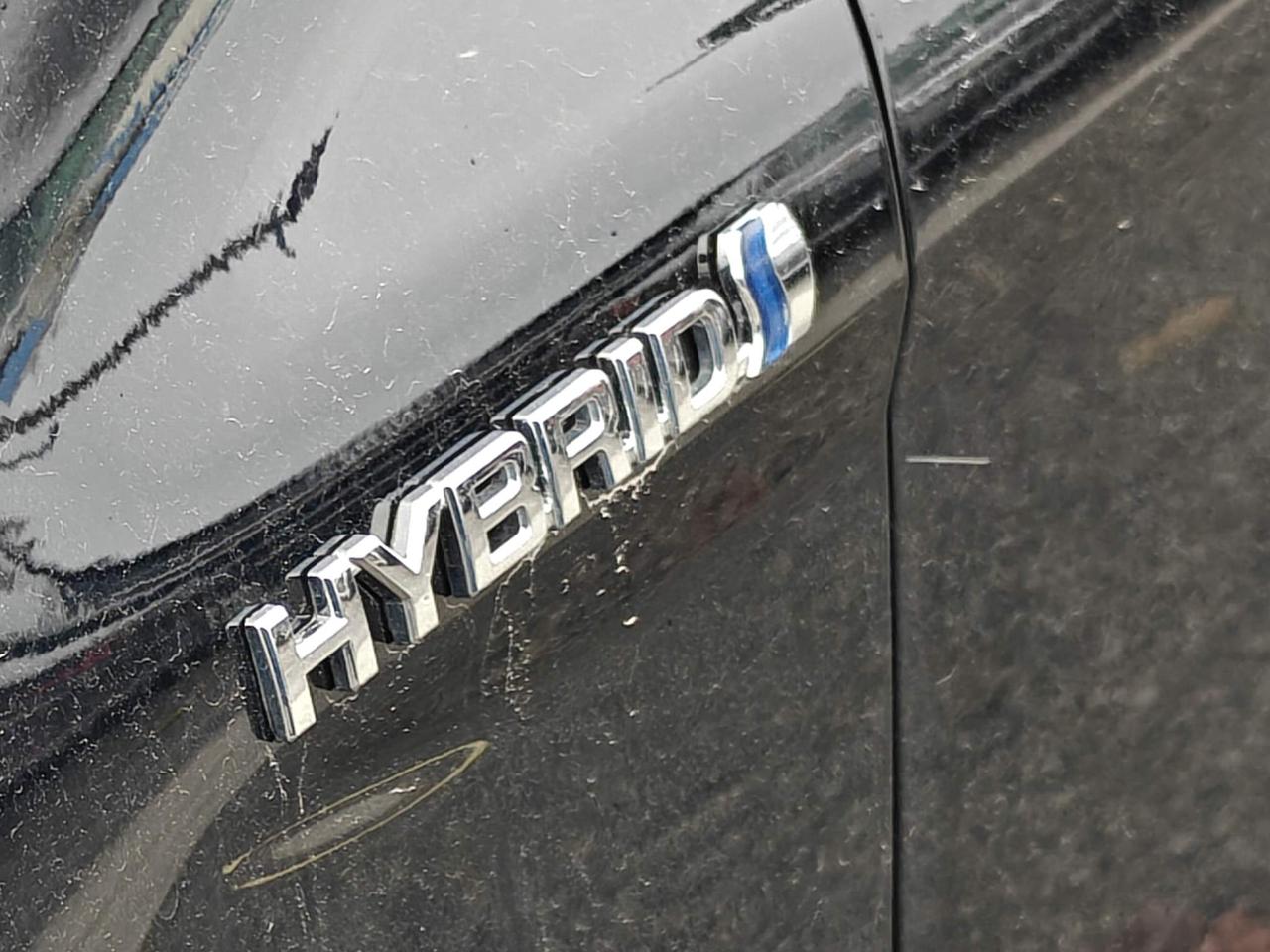 2020 Toyota Camry Hybrid XLE 4dr Sedan Photo