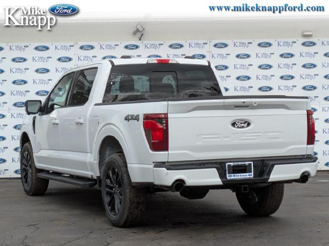 2025 Ford F-150 XLT Photo
