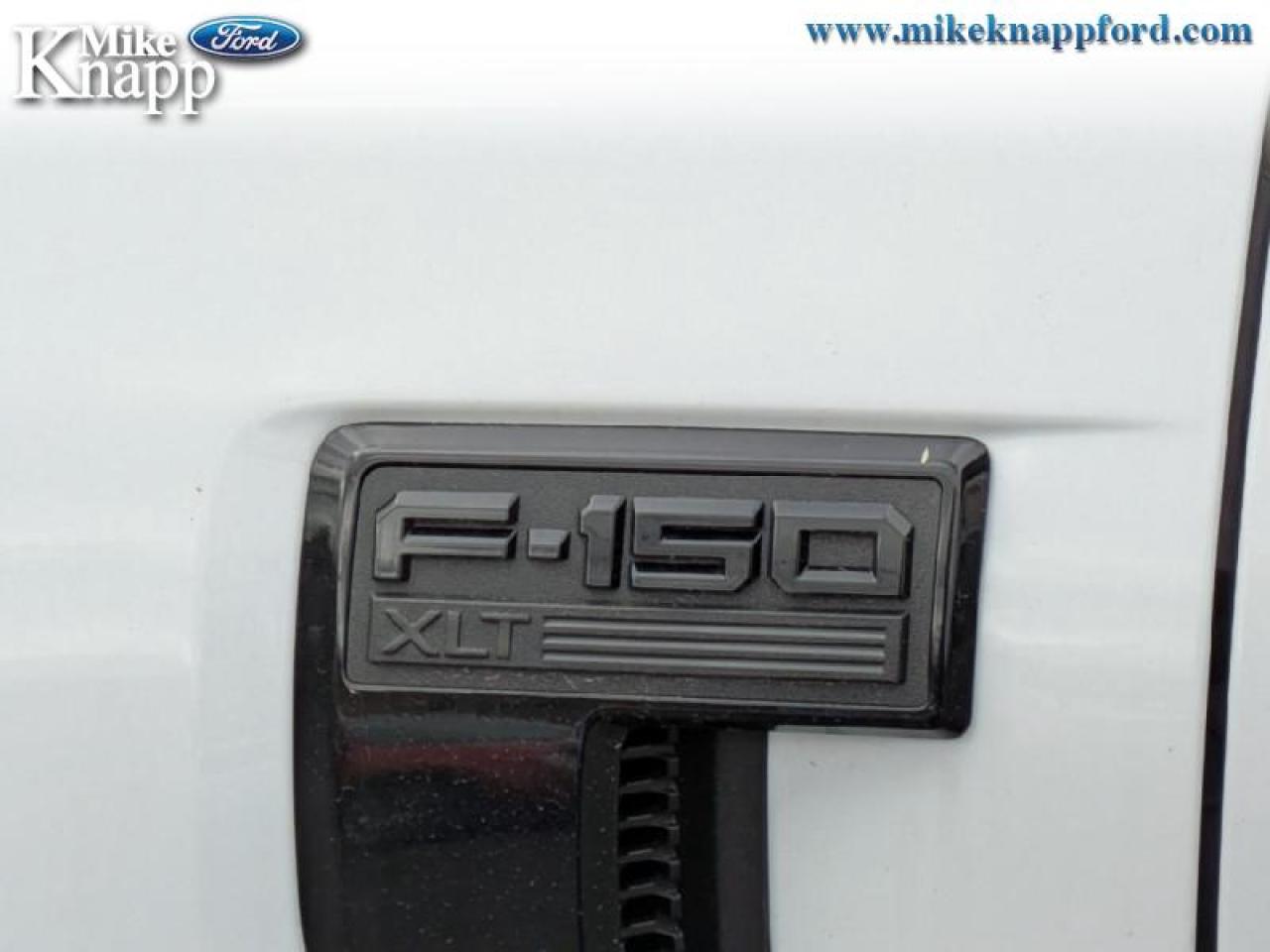 2025 Ford F-150 XLT Photo